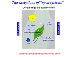 The exceptions of “open systems“ high entropy  CO 2 carbon dioxide O 2 oxygen (CH 2 O) x carbon hydrates water light energy sun Living beings are open systems  low entropy  condition: photosynthesis machine exists  