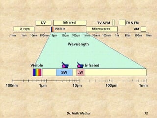  the IR camera or detector and 