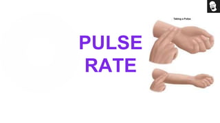 PULSE
RATE
 