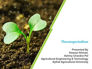 Presented By
Kawsar Ahmad,
Ashiny Chandra Pal
Agricultural Engineering & Technology
Sylhet Agricultural University
Thermoperiodism
 