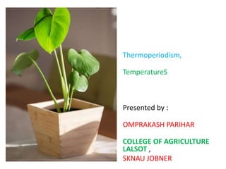 Thermoperiodism,
TemperatureS
Presented by :
OMPRAKASH PARIHAR
COLLEGE OF AGRICULTURE
LALSOT ,
SKNAU JOBNER
 