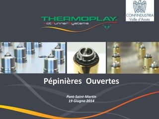 First Thermoplay Extended Sales
Meeting - 11 - 12 Jan 2012
Pépinières Ouvertes
Pont-Saint-Martin
19 Giugno 2014
 