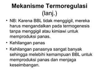 Mekanisme Termoregulasi
(lanj.)
• NB: Karena BBL tidak menggigil, mereka
harus mengandalkan pada termogenesis
tanpa menggigil atau kimiawi untuk
memproduksi panas.
• Kehilangan panas
• Kehilangan panasnya sangat banyak
sehingga melebihi kemampuan BBL untuk
memproduksi panas dan menjaga
keseimbangan.
 