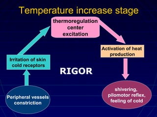 Temperature increase stageTemperature increase stage
Peripheral vessels
constriction
shivering,
pilomotor reflex,
feeling of cold
Irritation of skin
cold receptors
thermoregulation
center
excitation
Activation of heat
production
RIGOR
 