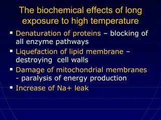 The biochemical effectsThe biochemical effects of longof long
exposure to high temperatureexposure to high temperature
 Denaturation of proteinsDenaturation of proteins – blocking of– blocking of
all enzyme pathwaysall enzyme pathways
 Liquefaction of lipid membraneLiquefaction of lipid membrane ––
destroying cell wallsdestroying cell walls
 Damage of mitochondrial membranesDamage of mitochondrial membranes
- paralysis of energy production- paralysis of energy production
 Increase of Na+ leakIncrease of Na+ leak
 