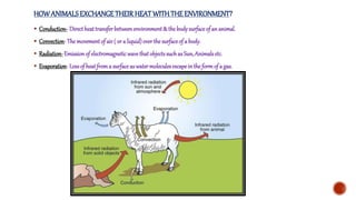 Thermoregulation and thermoregulatory functions in humans and other ...