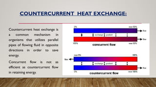 Thermoregulation and its physiology.pptx