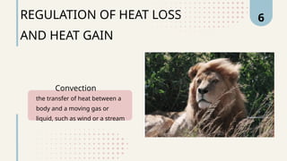 Thermoregulation among Plants and Animals | PPTX