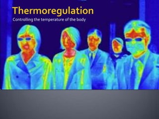 Controlling the temperature of the body
 