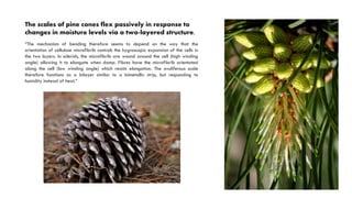 Thermoregulation in hot and humid climate part I | PDF
