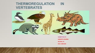 THERMOREGULATION IN
VERTEBRATES
SUBMITTED BY:
NAMARTA SHARMA
06-ZOOL-18
M.SC. SEM 2ND
 