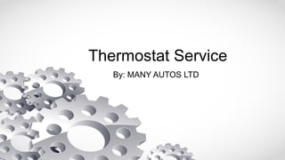 Thermostat Service
By: MANY AUTOS LTD
 