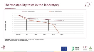 Evaluation of a candidate thermotolerant vaccine against peste des petits ruminants in Mali