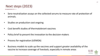 Evaluation of a candidate thermotolerant vaccine against peste des petits ruminants in Mali