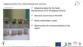Evaluation of a candidate thermotolerant vaccine against peste des petits ruminants in Mali