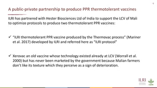 Evaluation of a candidate thermotolerant vaccine against peste des petits ruminants in Mali