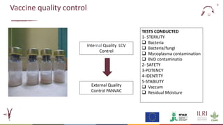 Evaluation of a candidate thermotolerant vaccine against peste des petits ruminants in Mali