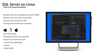 The roadmap for sql server 2019 | PPTX