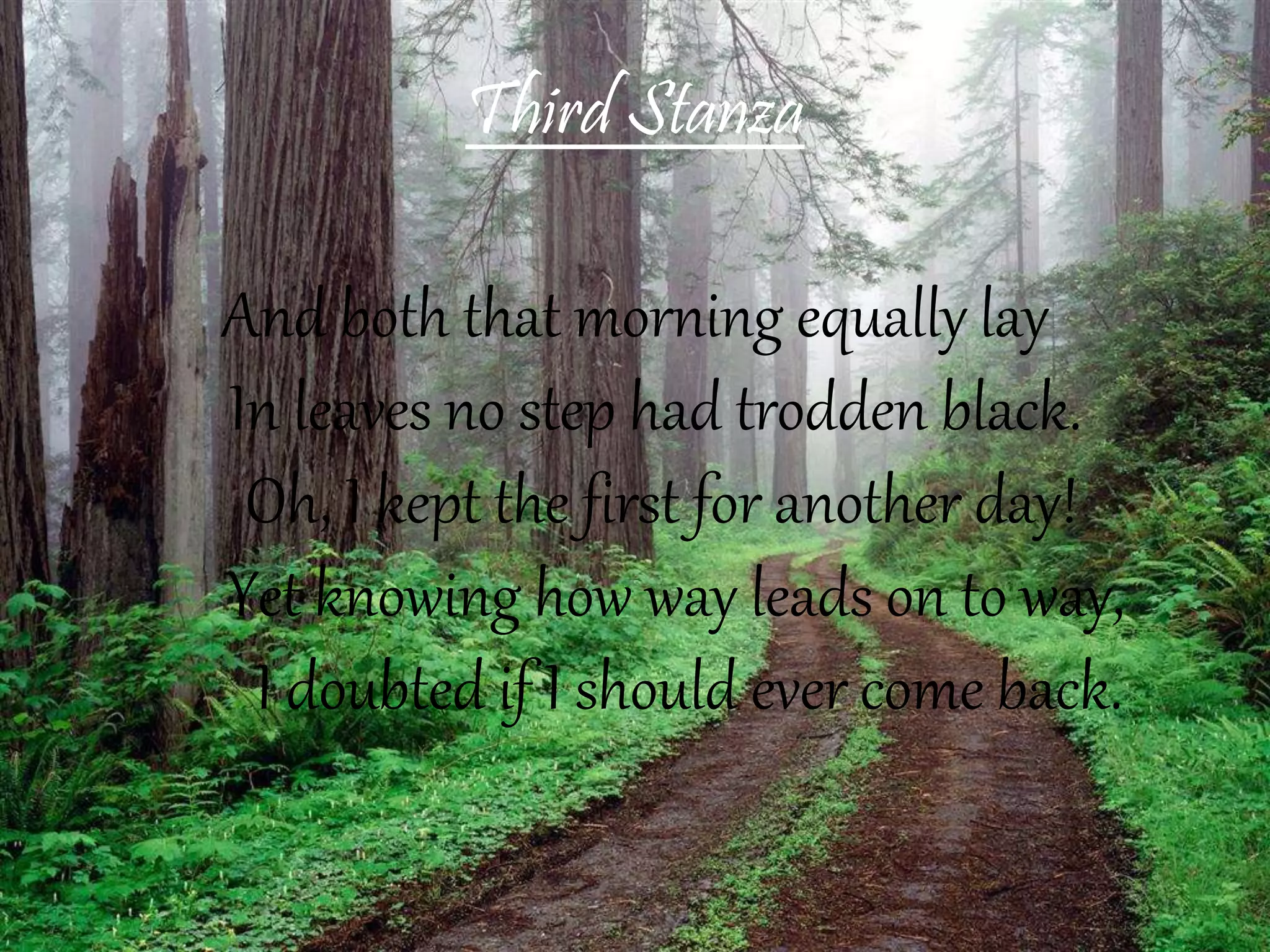 Third Stanza
And both that morning equally lay
In leaves no step had trodden black.
Oh, I kept the first for another day!
Yet knowing how way leads on to way,
I doubted if I should ever come back.
 