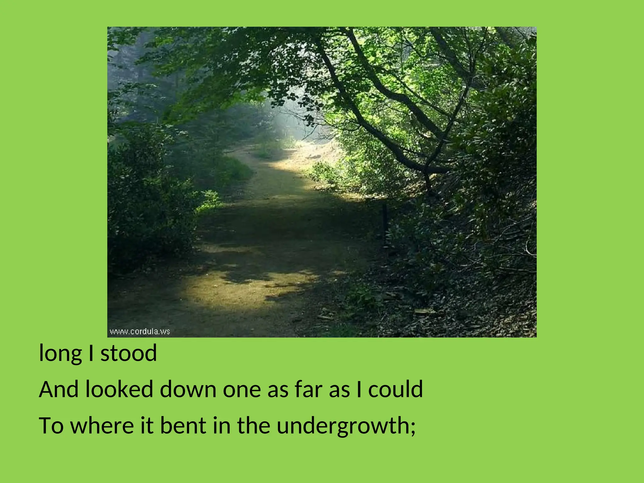 long I stood
And looked down one as far as I could
To where it bent in the undergrowth;
 