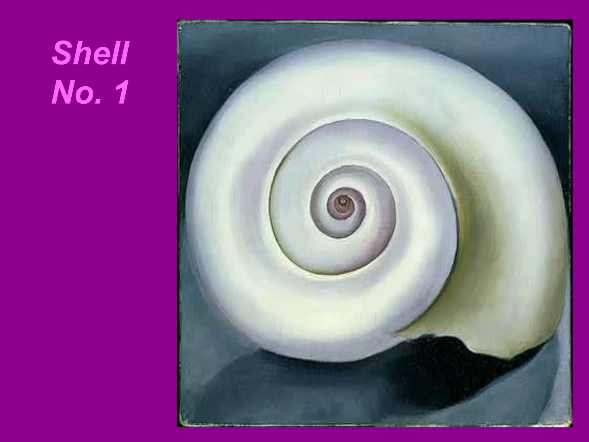 Shell
No. 1
 