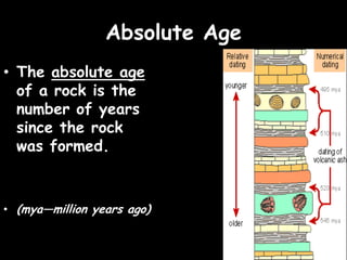 The rock and fossil record | PPTX