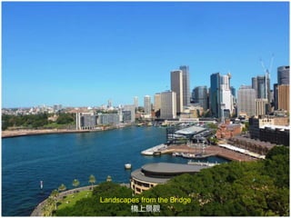 Landscapes from the Bridge
橋上景觀
 