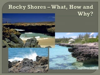 About the Bahamas Rocky Shores