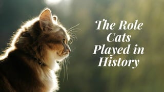 The Role
Cats
Played in
History
 