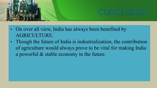 CONCLUSION
• On over all view, India has always been benefited by
AGRICULTURE.
• Though the future of India is industrialization, the contribution
of agriculture would always prove to be vital for making India
a powerful & stable economy in the future.
 