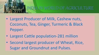 INDIA IN WORLD OF AGRICULTURE
• Largest Producer of Milk, Cashew nuts,
Coconuts, Tea, Ginger, Turmeric & Black
Pepper.
• Largest Cattle population-281 million
• Second largest producer of Wheat, Rice,
Sugar and Groundnut and Pulses.
 