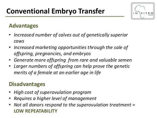 embryo transfer
