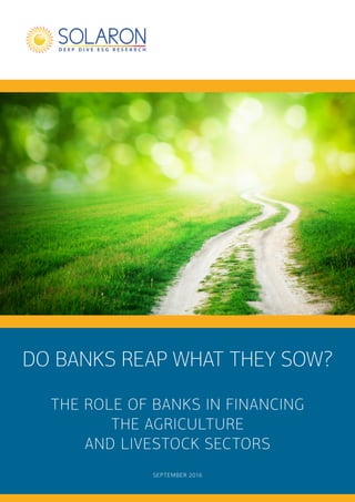 SEPTEMBER 2016
DO BANKS REAP WHAT THEY SOW?
THE ROLE OF BANKS IN FINANCING
THE AGRICULTURE
AND LIVESTOCK SECTORS
 