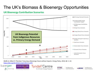 The UK’s Biomass & Bioenergy Opportunities
UK Bioenergy Contribution Scenarios
Welfle A, Gilbert P, Thornley P. Securing a...