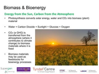 Biomass & Bioenergy
Energy from the Sun, Carbon from the Atmosphere
• Photosynthesis converts solar energy, water and CO2 ...