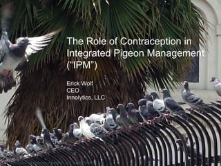 The Role of Contraception in
                                       Integrated Pigeon Management
                                       (“IPM”)
                                       Erick Wolf
                                       CEO
                                       Innolytics, LLC




OvoControl is a trademark of Innolytics, LLC, Rancho Santa Fe, CA
 