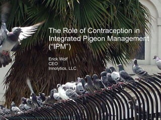 The Role of Contraception in Integrated Pigeon Management (“IPM”) Erick Wolf CEO Innolytics, LLC OvoControl is a trademark of Innolytics, LLC, Rancho Santa Fe, CA 