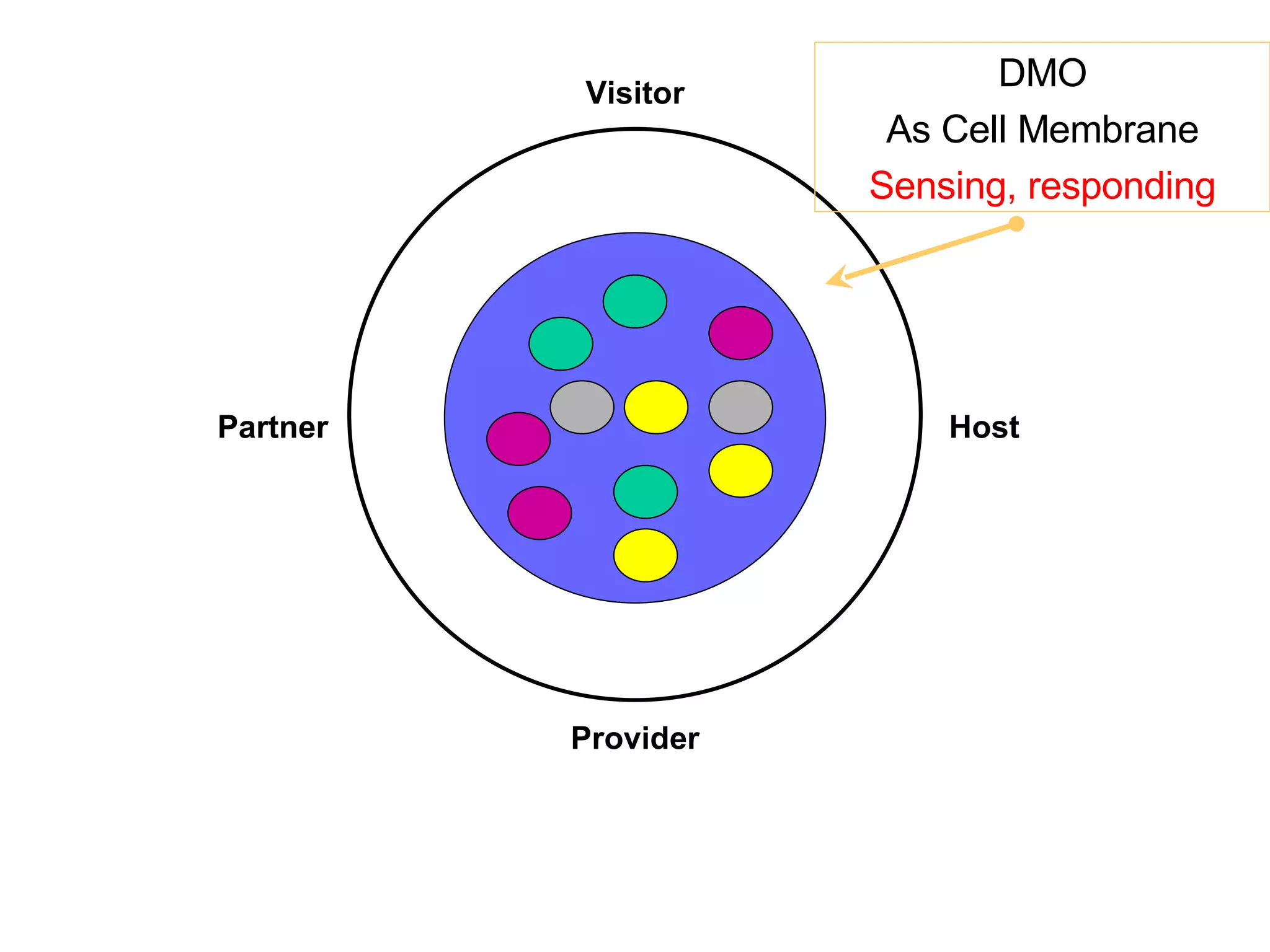 Dmo Program The Role Of DMOs In The Tourism Ecosystem | PPT