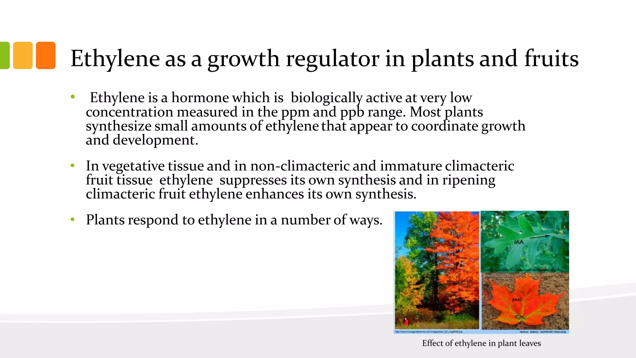 The role of ethylene in post harvest biology | PPTX