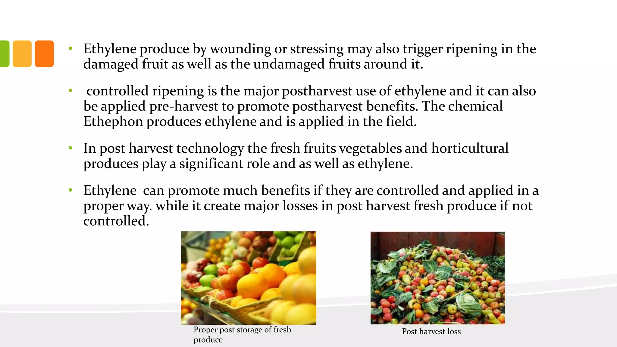The role of ethylene in post harvest biology | PPTX