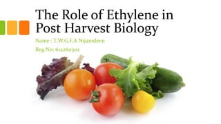 The Role of Ethylene in
Post Harvest Biology
Name : T.W.G.F.A Nijamdeen
Reg.No: 612260302
 