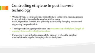 The role of ethylene in post harvest biology | PPTX