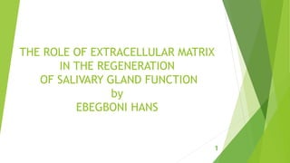 THE ROLE OF EXTRACELLULAR MATRIX
IN THE REGENERATION
OF SALIVARY GLAND FUNCTION
by
EBEGBONI HANS
1
 