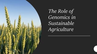 The Role of
Genomics in
Sustainable
Agriculture
 
