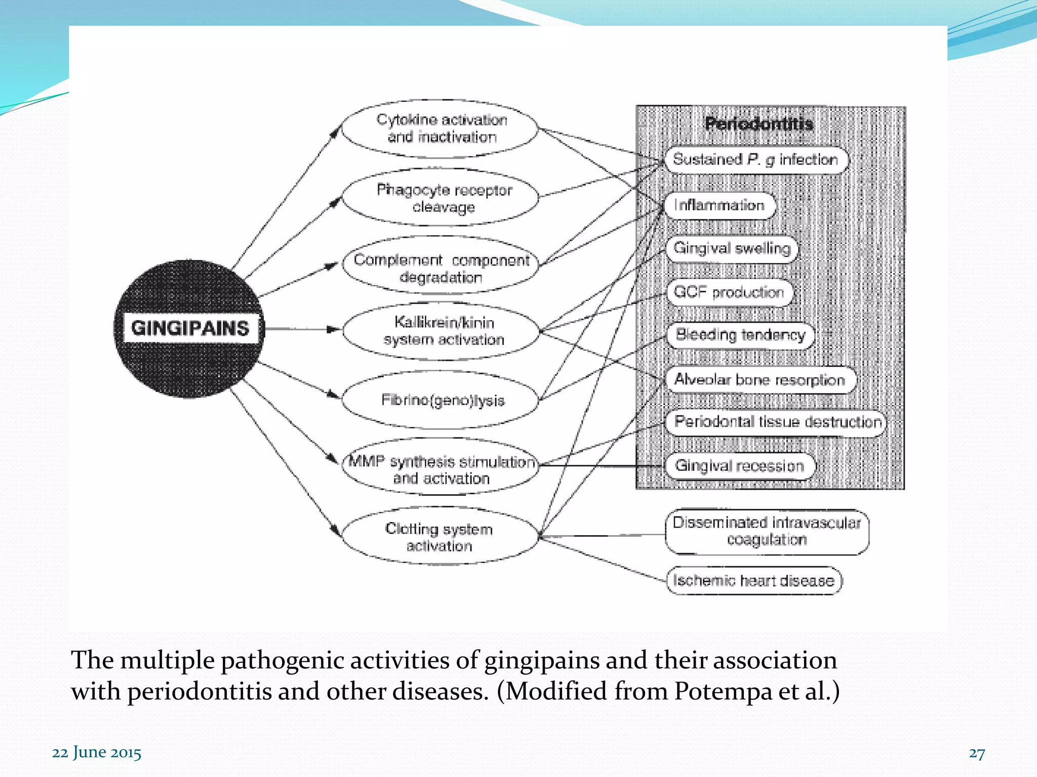The role of gingipains in the pathogenesis of periodontal diseases | PPTX