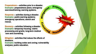 The Role Of Government In A Disaster Management
