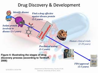 The Role of Bioinformatics in The Drug Discovery Process | PPTX