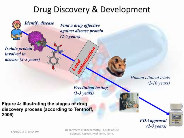 The Role of Bioinformatics in The Drug Discovery Process