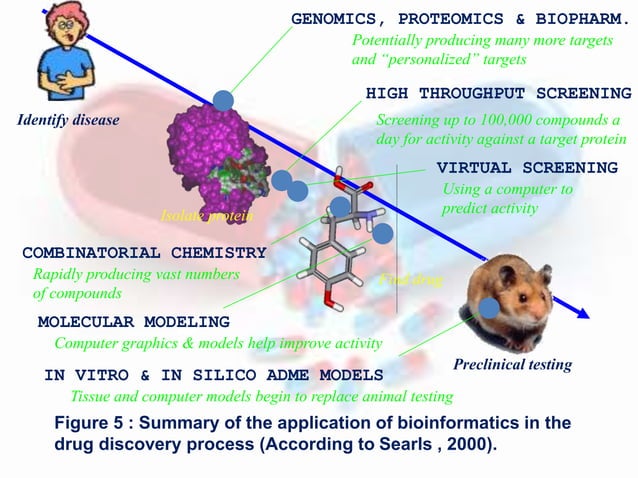 The Role of Bioinformatics in The Drug Discovery Process
