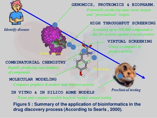 The Role of Bioinformatics in The Drug Discovery Process